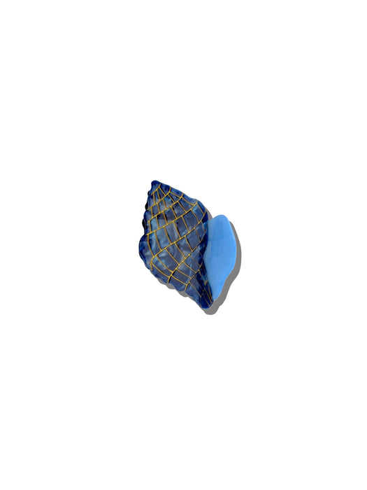 Eco-Friendly Hand-Painted Tulip Conch Shell Claw Hair Clip