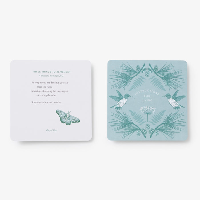 Instructions For Living