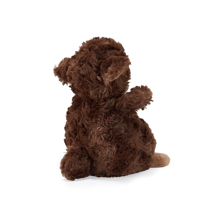 Wee Kiddo the Lamb - Cocoa