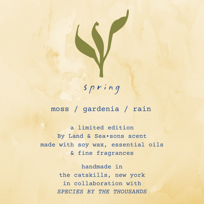 By Land & Seasons - Spring Soy Candle