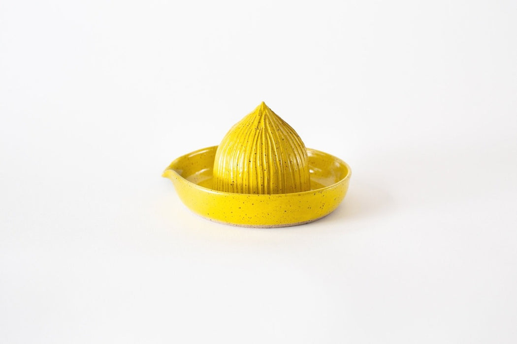 Ceramic Citrus Juicer