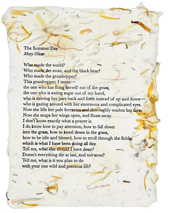 "The Summer Day" By Mary Oliver Art Print