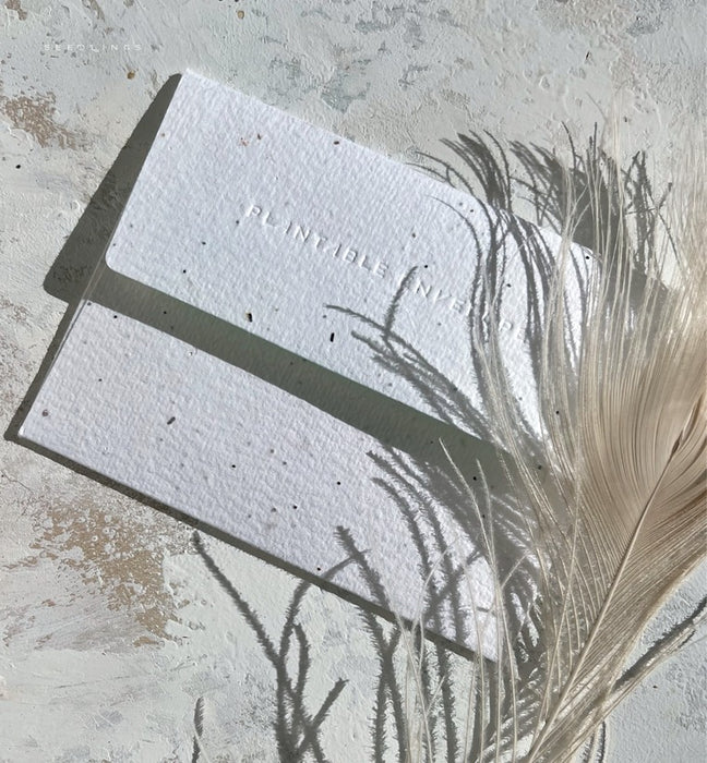 12 Dogs of Christmas Card