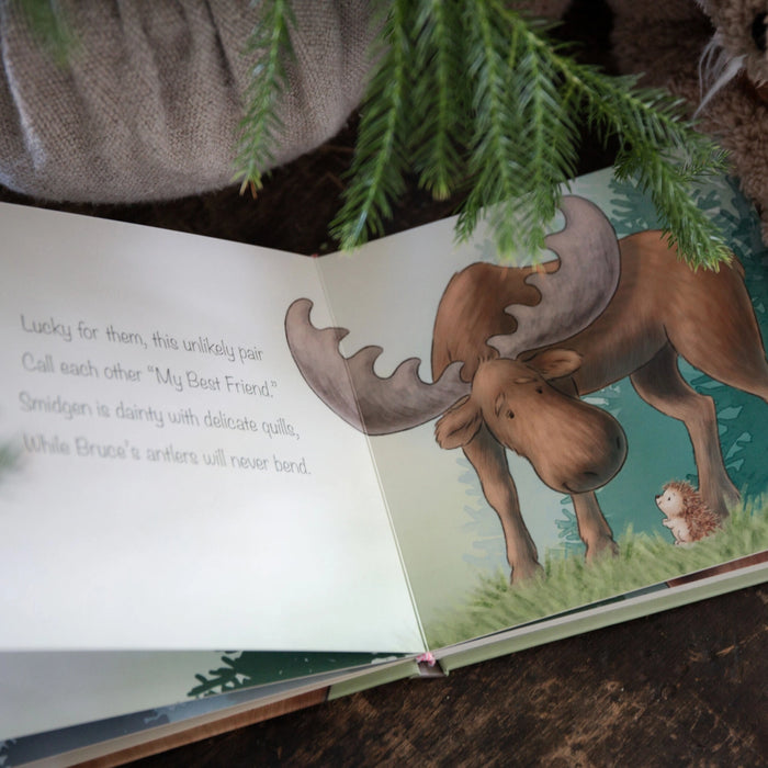 Smidgen & Bruce - A Big Friendship Board Book