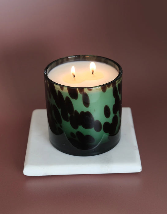 Fraser Fir Luxe Edition Candle | 15oz