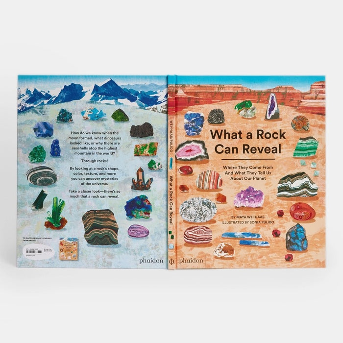 What A Rock Can Reveal