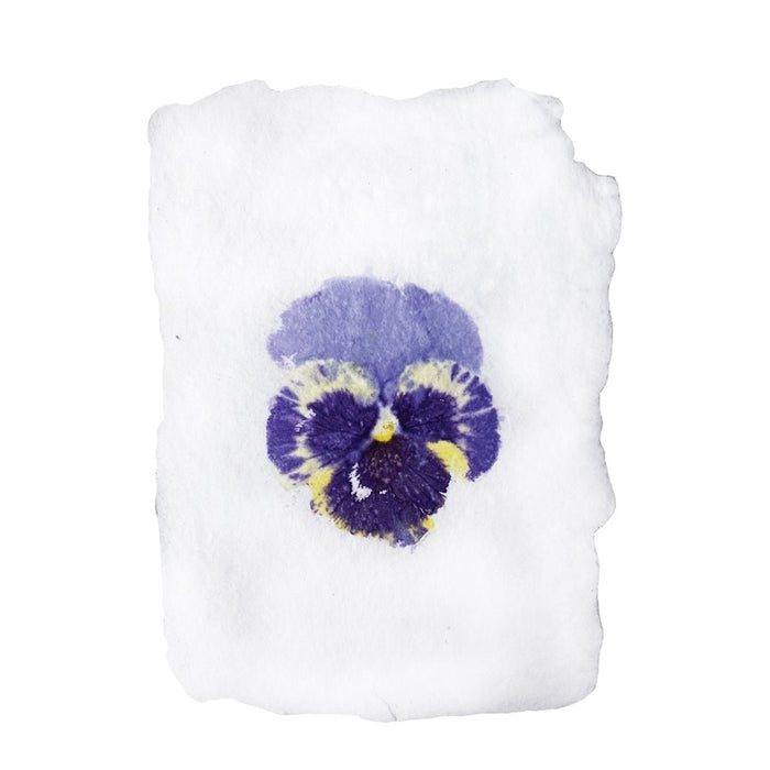 Real Pansy Imprint Note Card