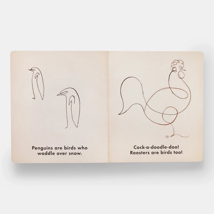 Birds & Other Animals