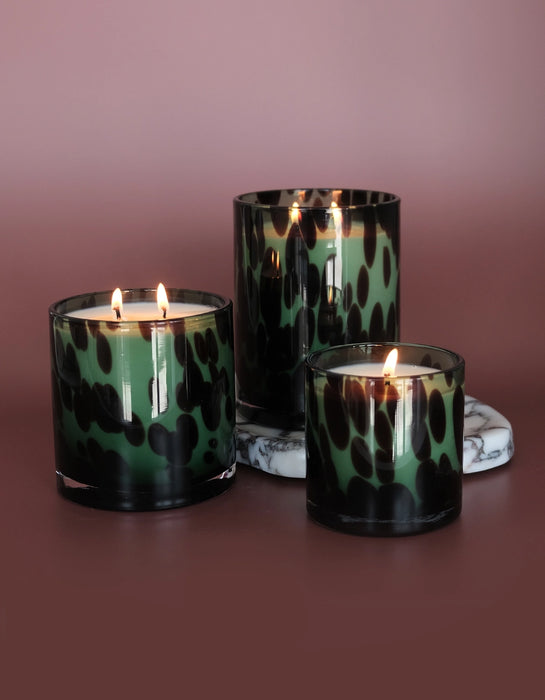 Fraser Fir Luxe Edition Candle | 15oz