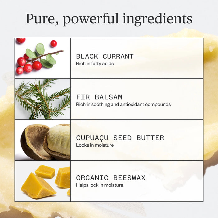 Going Places Lip Balm