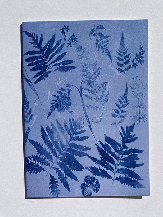 Falling Ferns Card