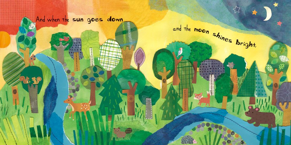 Who's in the Forest - Large Board Book