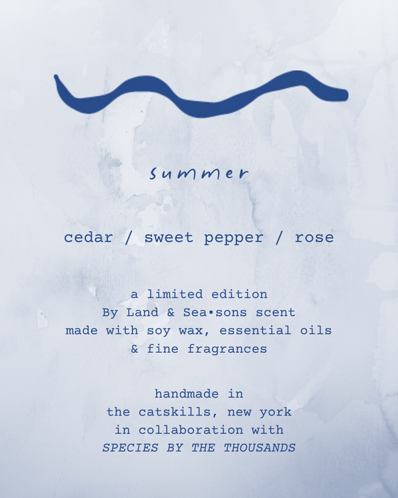 By Land & Seasons - Summer Soy Candle