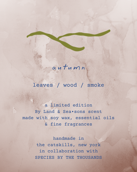 By Land & Seasons - Autumn Soy Candle