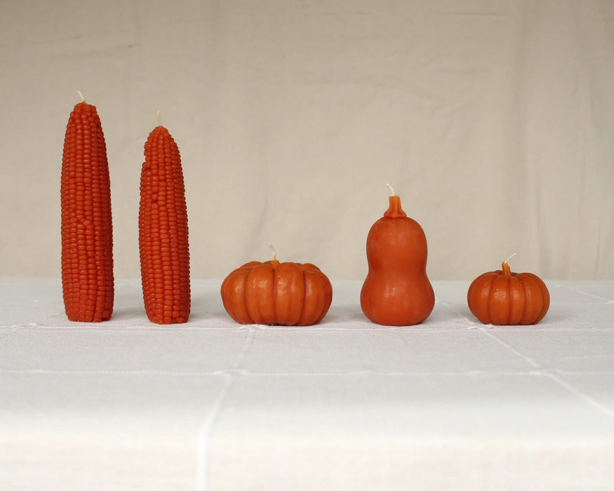 Beeswax Butternut Squash Candle
