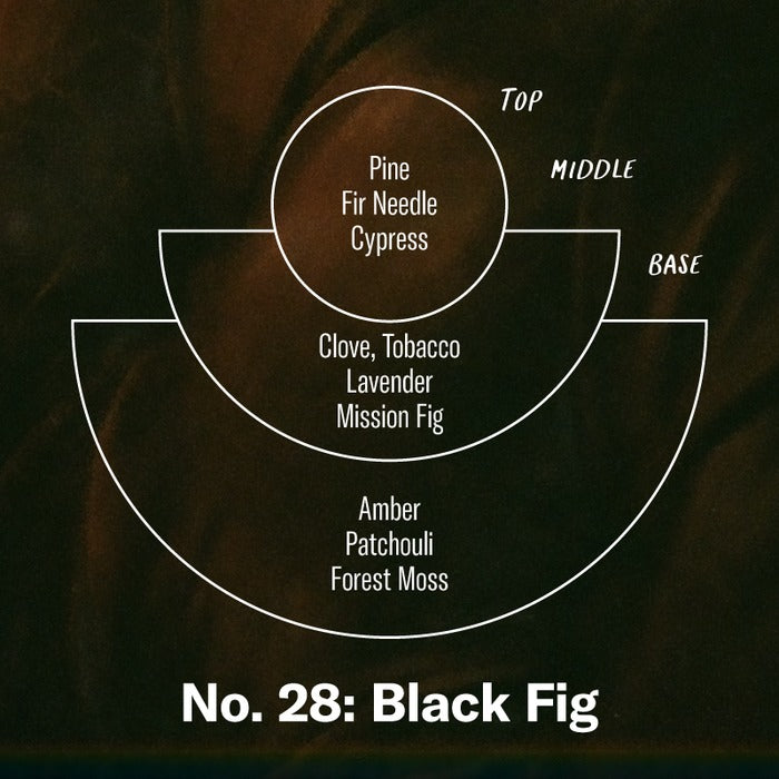 Black Fig - 7.2 oz Soy Candle