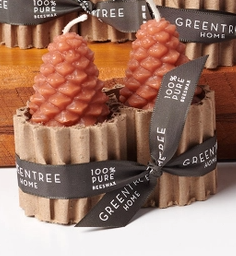 Small Pine Cone Beeswax Candles - Set of 2