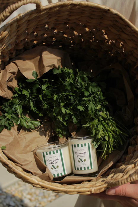 Arugula Mint 8oz Candle