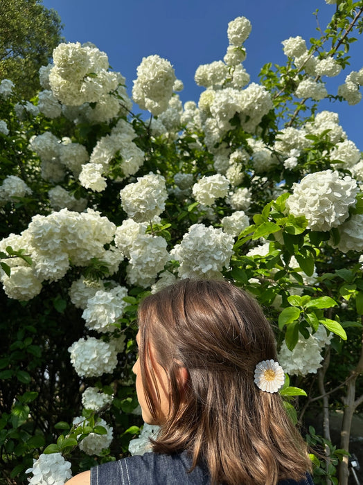 Eco-Friendly Hand-Painted Mini Daisy Claw Hair Clip
