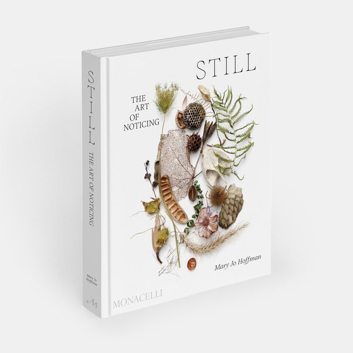 Still: the Art of Noticing