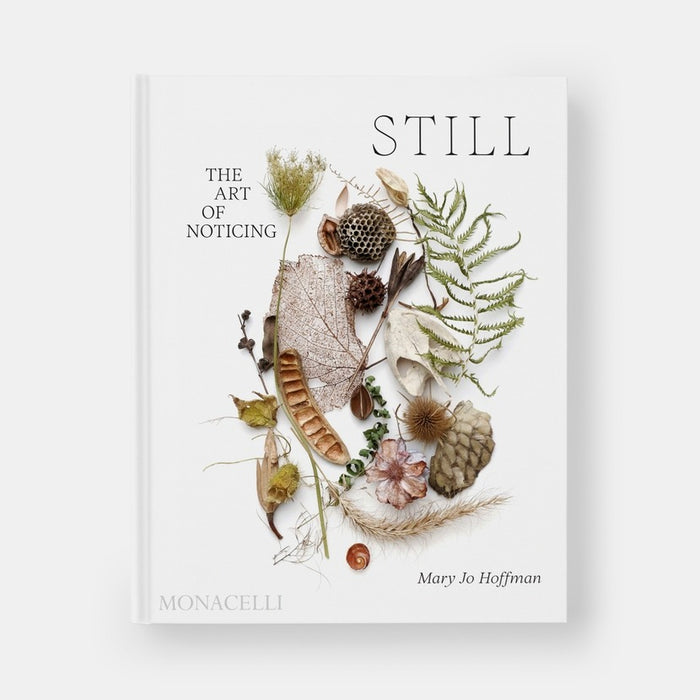Still: the Art of Noticing