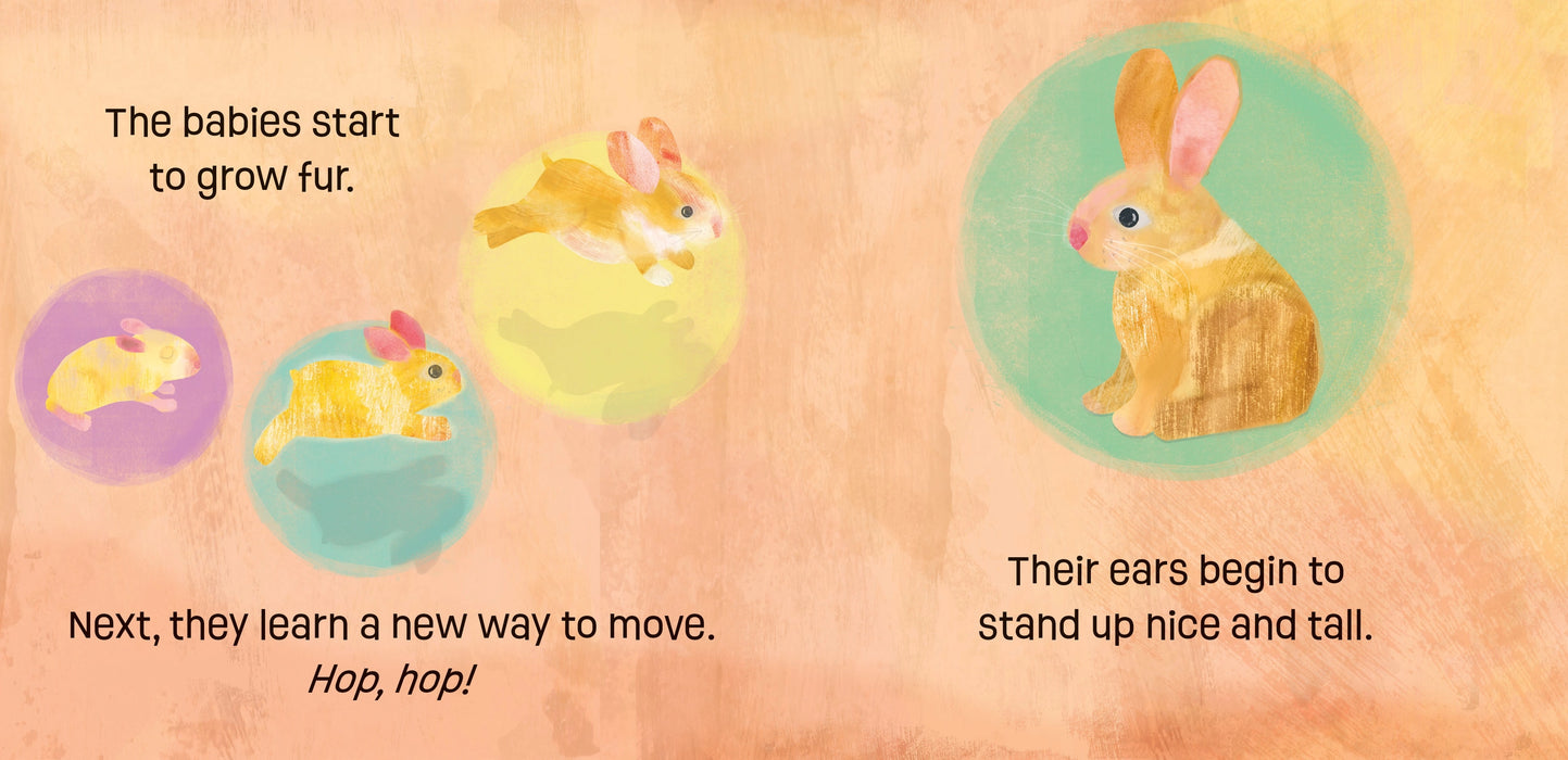 Baby Animals: Bunnies Know & Grow
