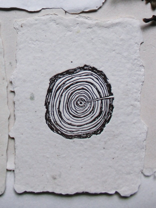 Tree Rings Art Print– By Land & Sea