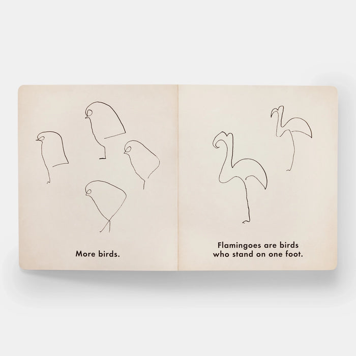 Birds & Other Animals