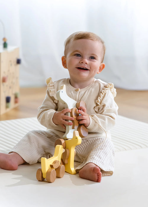 Wooden Duck Family Pull Toy