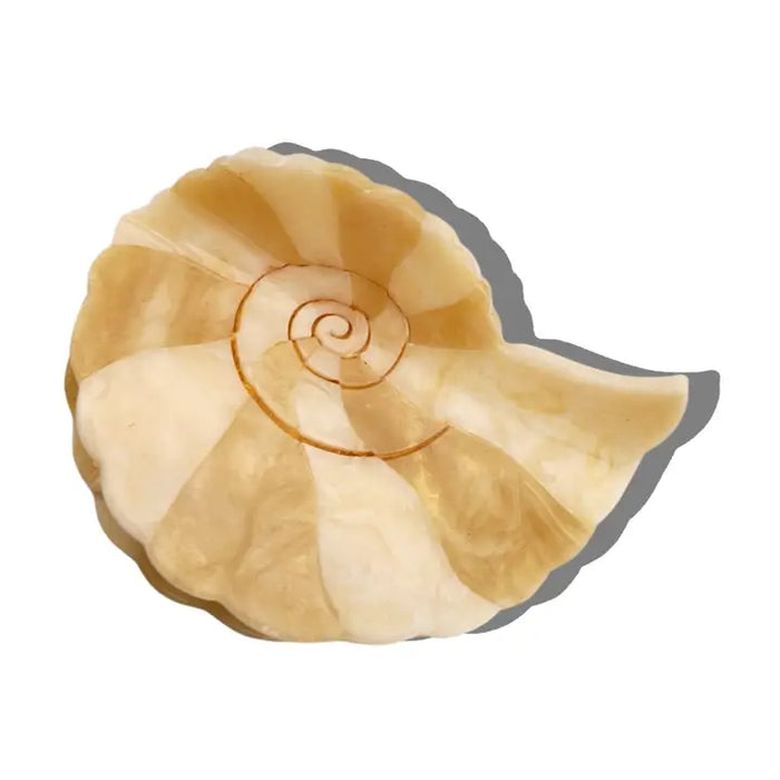 Eco-Friendly Hand-Painted Spiral Shell Claw Hair Clip