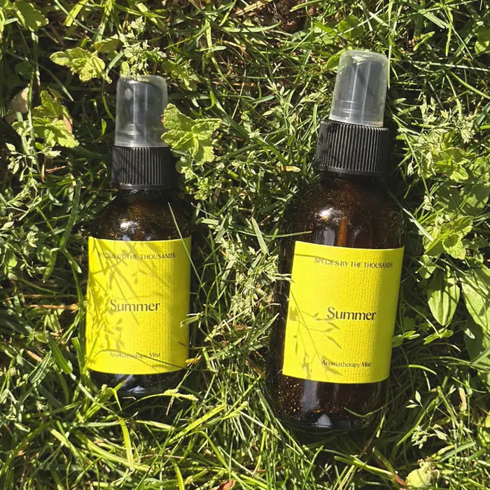 Summer Natural Mosquito Repellent
