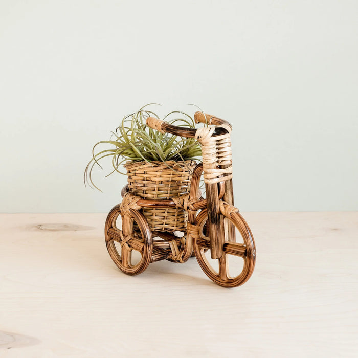 Rattan Bicycle Planter