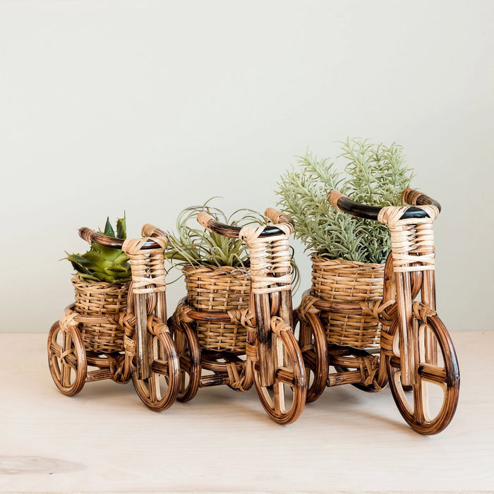 Rattan Bicycle Planter