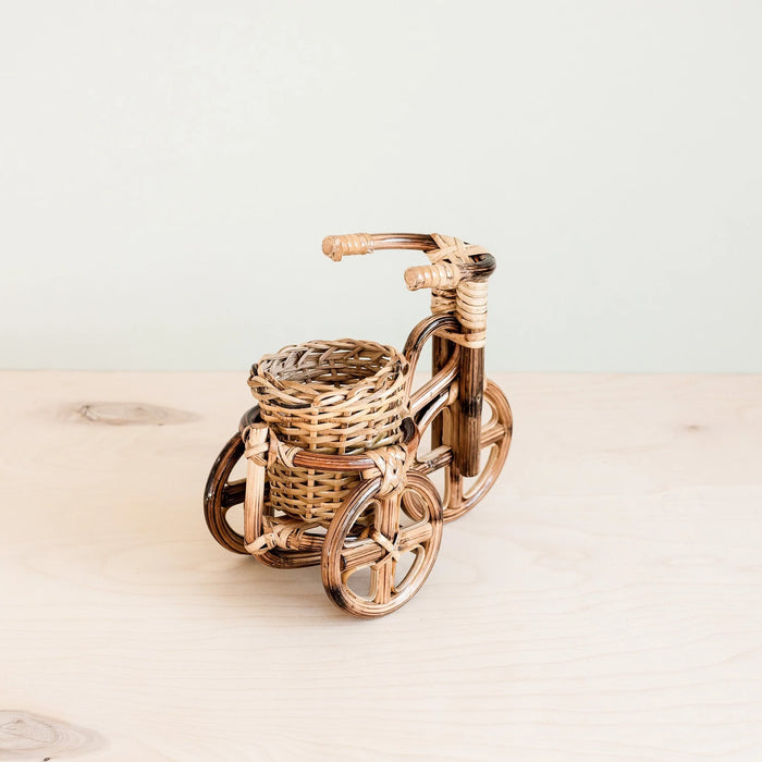 Rattan Bicycle Planter