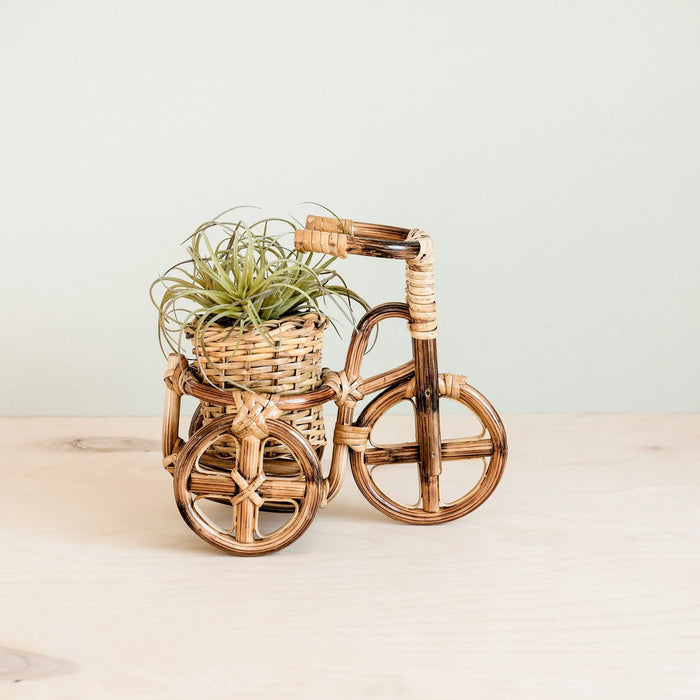 Rattan Bicycle Planter