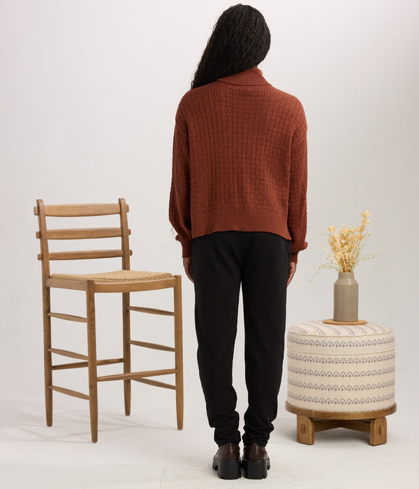 Webster Turtleneck Sweater