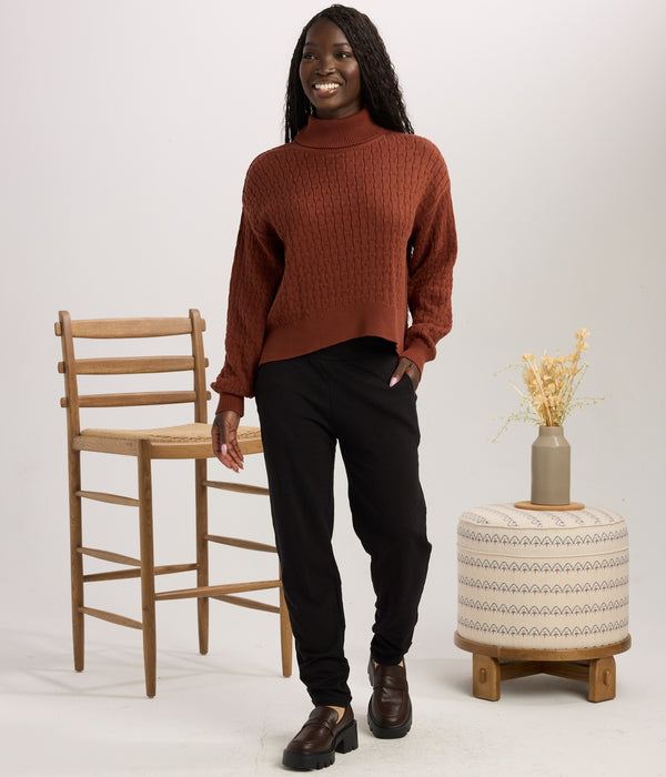 Webster Turtleneck Sweater